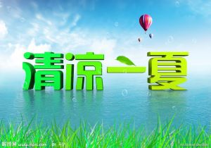 韵达物流单号查询指南：快速检索您的包裹