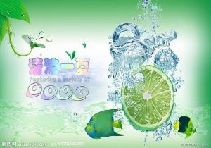 深度解析：物美价廉的物流选择秘籍